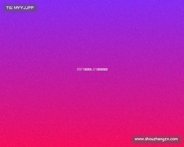 2001阿根廷赛事_01年阿根廷国青队