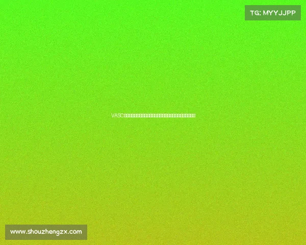 VASC智能汽车自动化赛事深入探讨从技术原理到实战策略的全面解析 VASC智能汽车自动化赛事深入探讨从技术原理到实战策略的全面解析